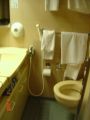 Click for Fullsize. (600 x 800) Too bad they don't have orange bathroom sinks in the Commodore Class cabins too.. Photo: Paul Byrne