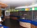 Click for Fullsize. (800 x 600) Seaside Café on Deck 6. Photo: Sami Koski